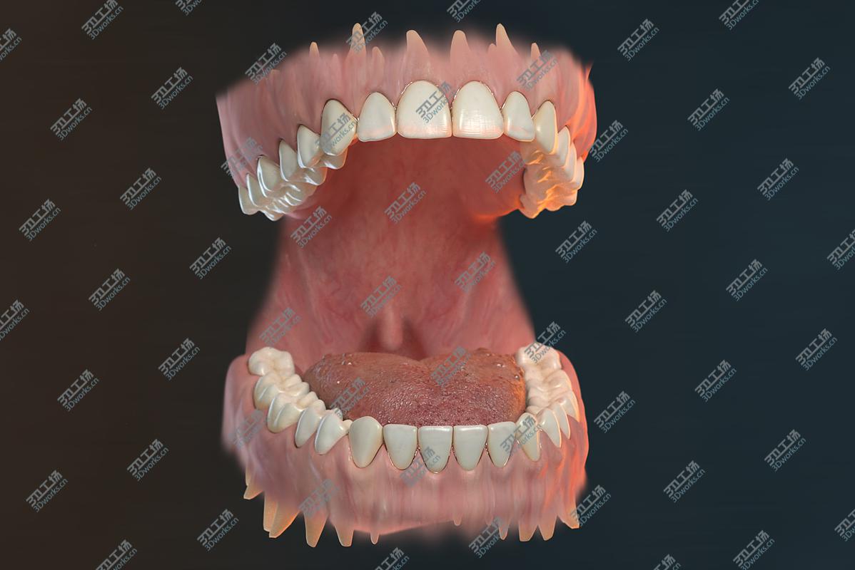images/goods_img/2021040232/3D model Orthodontic Head (V-Ray)/5.jpg